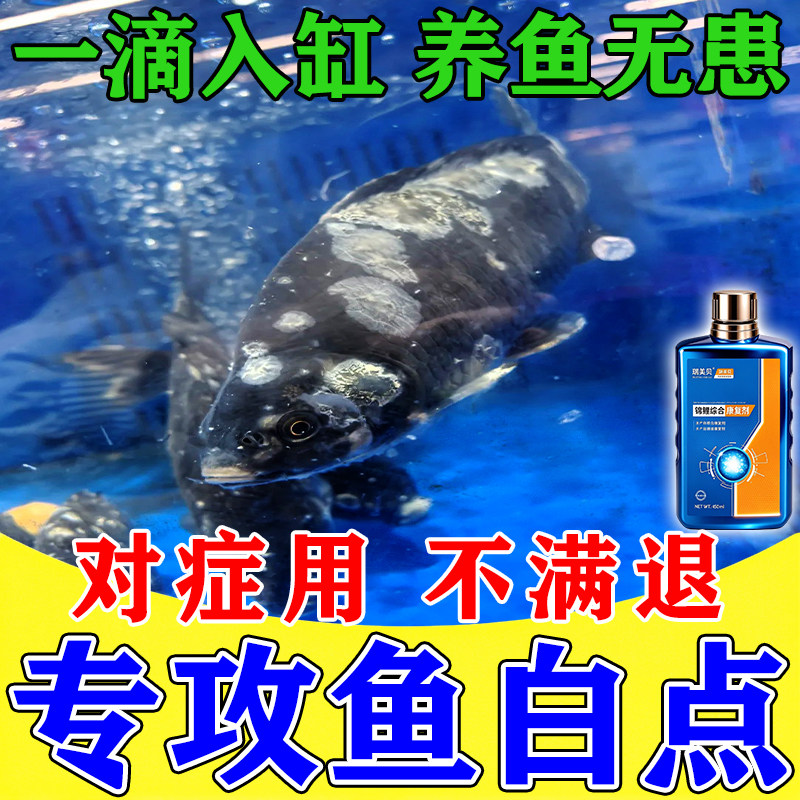 白点净小瓜虫专用鱼白点病药