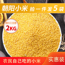 真空袋装400g*5袋辽宁朝阳小黄米