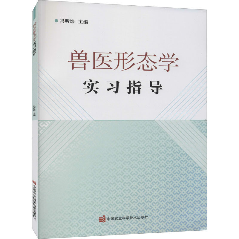 动物腹腔腹壁 动物骨盆和尾部 动物后肢动脉  动物器官的形态构造