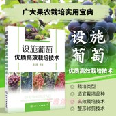 书籍 温室葡萄高效优质栽培技术 设施葡萄优质高效栽培技术 设施类型及建造 避雨棚葡萄高效优质栽培技术 设施葡萄常用 正版