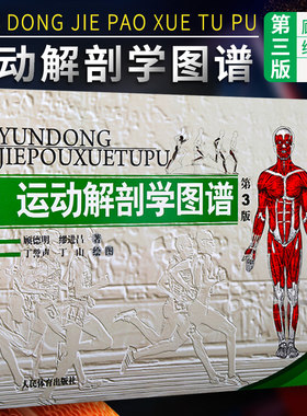 运动解剖学图谱修订三版人体