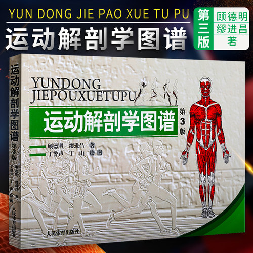 运动解剖学图谱修订三版人体