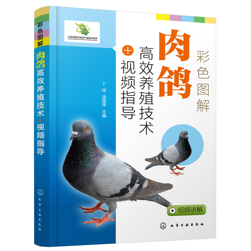 彩色图解肉鸽高效养殖技术视频指导 肉鸽选种 疾病防治 肉鸽营养饲料