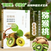 姚春潮 李建军 中国农业出版 书籍 社9787109271883 专业科技 猕猴桃高效栽培与病虫害防治彩色图谱 种植业 正版 刘占德