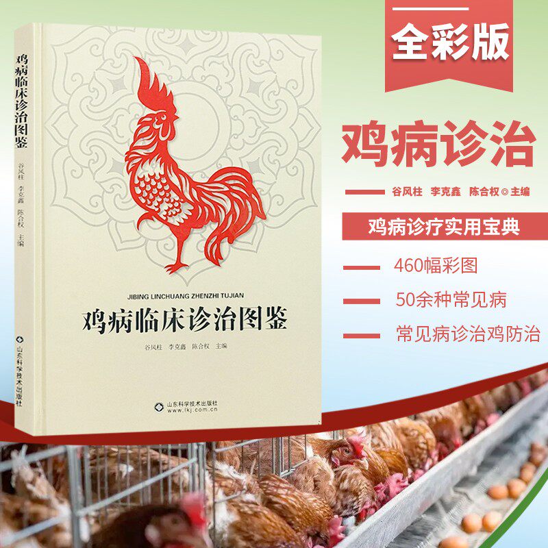 正版书籍 鸡病临床诊治图鉴 鸡病诊治原色图谱 养鸡场常见鸡病图鉴 鸡场鸡病流行特点临床症状 剖检病变诊断预防治疗 养鸡参考书怎么看?