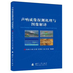 合成孔径侧扫成像声呐声图解译 有机结合成像声呐基本原理 参量阵浅地层剖面成像 成像声呐基础概念 声呐成像探测机理与图像解译