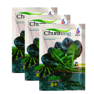 菠菜种子抗热抗霜霉病耐抽苔墨菲墨丰杂交菠菜籽农家四季播蔬菜子