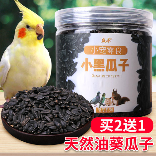 饲料鹦鹉小瓜子油葵零食