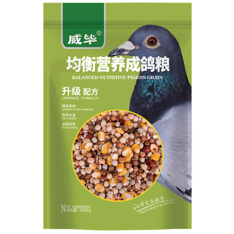 威毕营养鸽粮饲料用品玉米颗粒