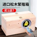 玄凤虎皮鹦鹉鸟繁殖箱牡丹巢箱八哥鸟窝屋鸟房鸟笼保暖孵化专用品