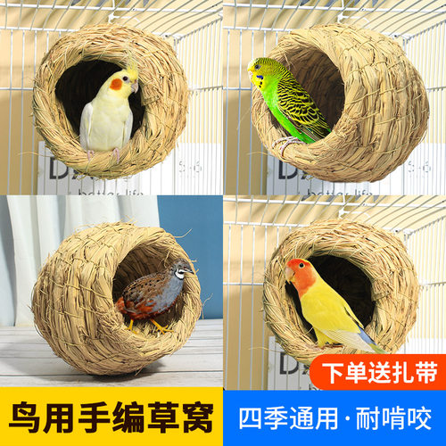 玄凤牡丹虎皮鹦鹉鸟窝芦丁鸡保暖