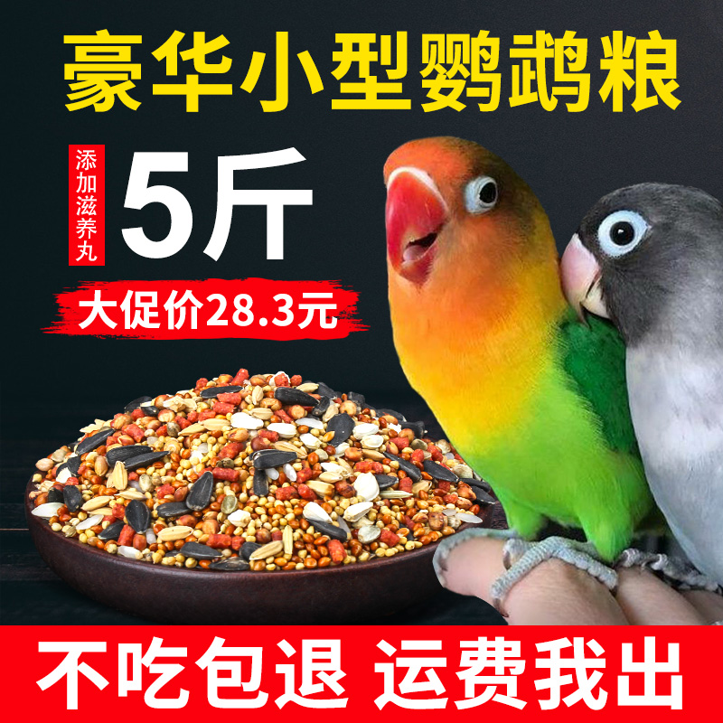 鸟食牡丹虎皮黄谷子带壳小米