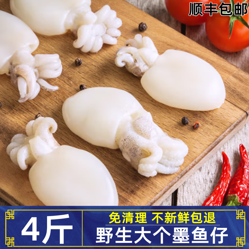 墨鱼仔无冰免清理海鲜水产鲜活冷冻整只去内脏乌贼小章鱼目鱼商用