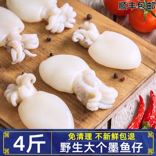 墨鱼仔无冰免清理海鲜水产鲜活冷冻整只去内脏乌贼小章鱼目鱼商用