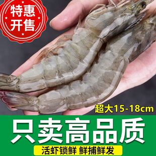 2030大海虾鲜活超大新鲜冷冻特大海捕海鲜整箱基围虾青虾白虾对虾