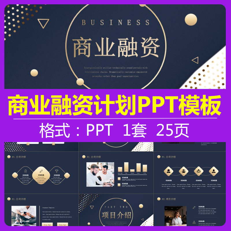 时尚精致北欧风烫金商业融资计划商务提案金融方案营销策ppt模板