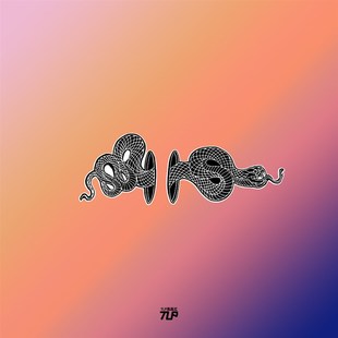 TLP反光车贴 钻洞蛇吐信花纹冷血动物图腾机车汽车纹身防水贴纸