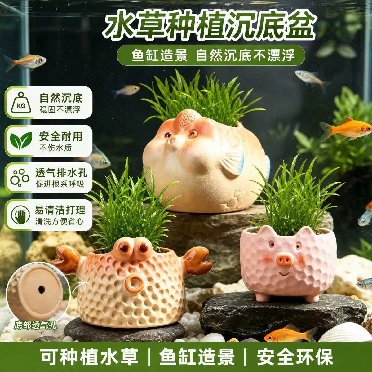 水草沉底盆睡莲定植篮