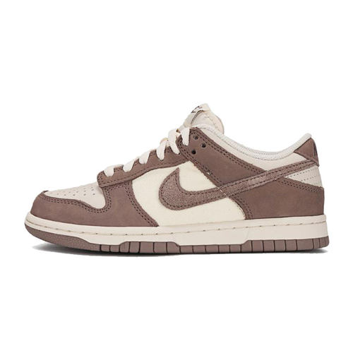 nike耐克大童男女DUNK LOW SE运动休闲鞋板鞋锐力IB5721-100