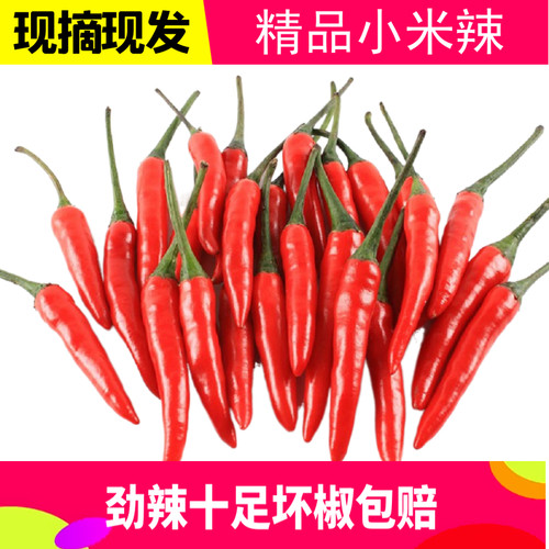 小米椒红辣椒新鲜特辣5斤3斤