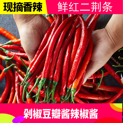 农家现摘红二荆条新鲜辣椒鲜红辣椒红线椒海椒适做辣椒酱剁椒泡椒