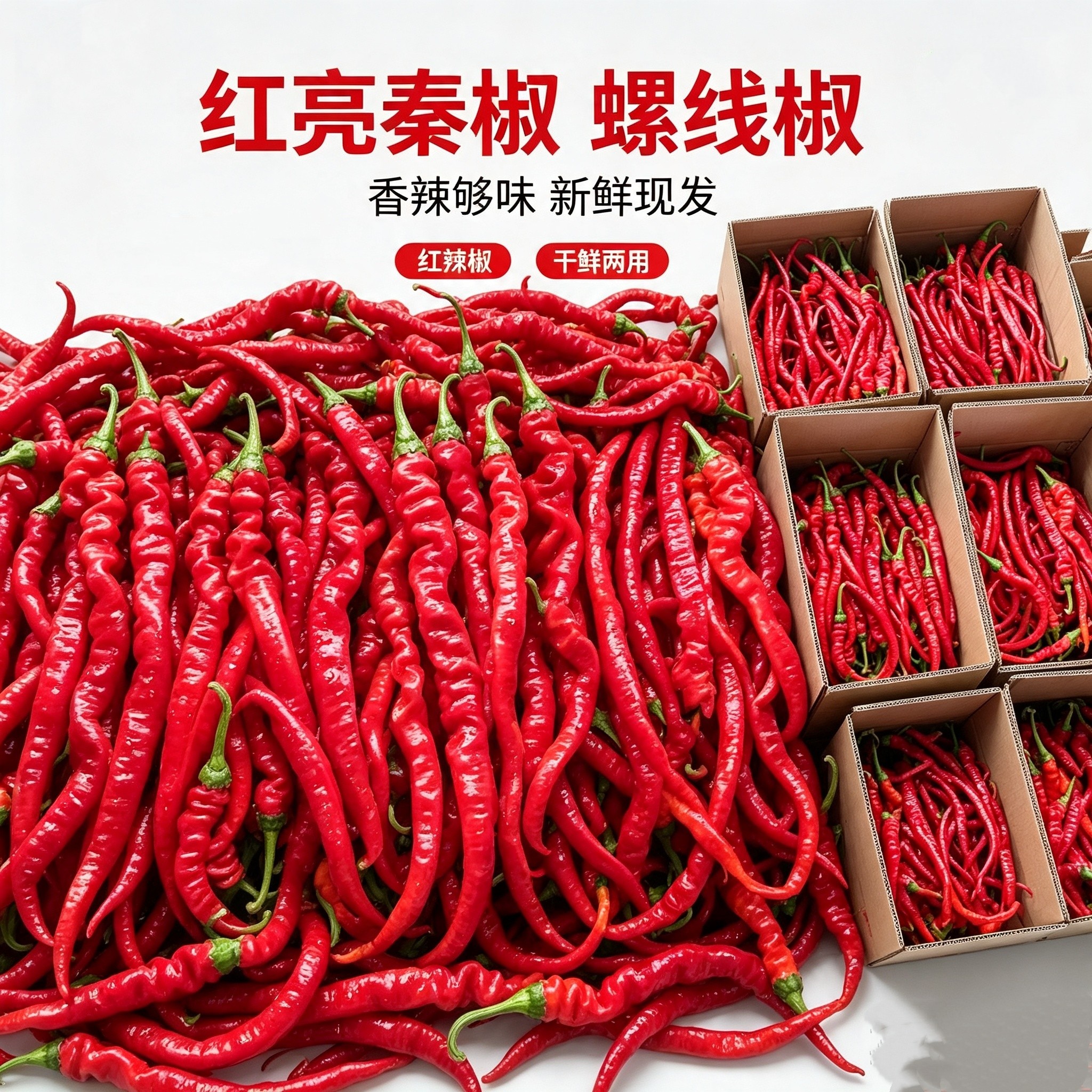 现摘红秦椒螺线椒线线辣子香辣浓郁可腌剁椒做辣椒酱农家自种蔬菜