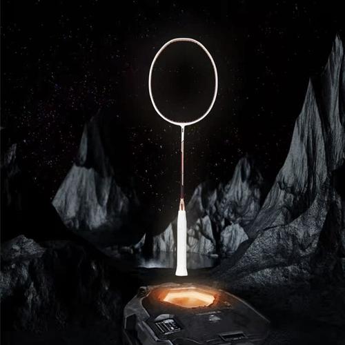 dooot道特羽毛球拍全碳素