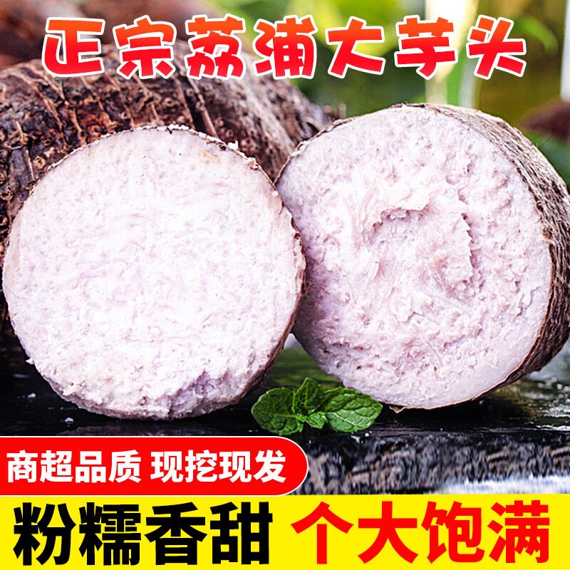 正宗荔浦大芋头新鲜现挖香芋正宗小芋头紫藤毛芋头槟榔芋
