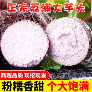正宗荔浦大芋头新鲜现挖香芋正宗小芋头紫藤毛芋头槟榔芋