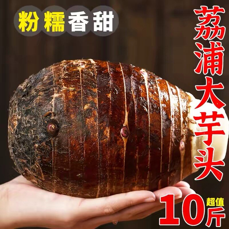 广西荔浦大芋头新鲜现挖香芋正宗小芋头紫藤毛芋头槟榔芋