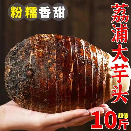广西荔浦大芋头新鲜现挖香芋正宗小芋头紫藤毛芋头槟榔芋