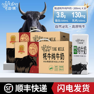 迦境牦牛纯牛奶祁连山耗学生孕妇全脂早餐奶老年200ml*10盒*2提