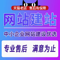 网站建设制作企业公司做网站设计商城模板开发定制一条龙服务