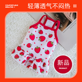 狗狗衣服夏季薄款背心泰迪吊带裙比熊博美贵宾网红宠物猫咪夏天装