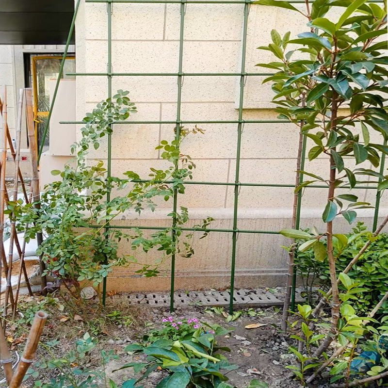 种菜种花架子植物爬藤花架