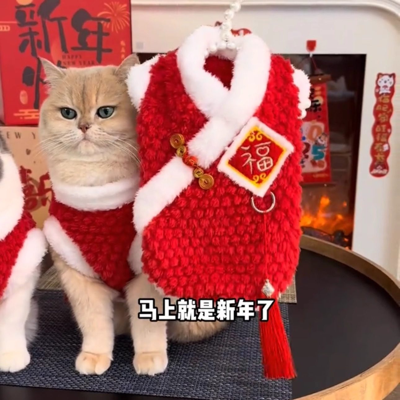 猫咪新年衣服秋冬装可爱ins蓝星渐层布偶猫蓝猫红色过年喜庆衣服