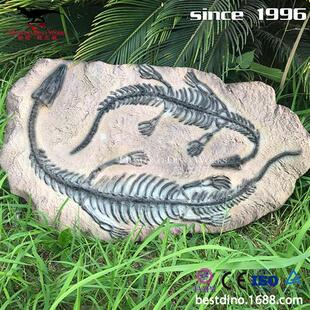 博物馆收藏的恐龙化石骨架高度仿真细节微妙工厂制作匠心出品