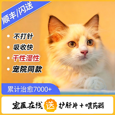 猫咪2801胶囊干性湿性大肚子消腹水片剂针剂油剂猫口服药宠物专用