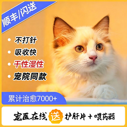 猫咪2801胶囊干性湿性大肚子消腹水片剂针剂油剂猫口服药宠物专用