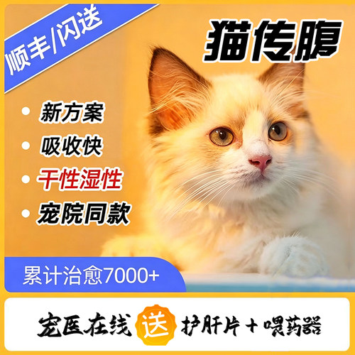 猫咪2801胶囊干性湿性大肚子消腹水片剂针剂油剂猫口服药宠物专用