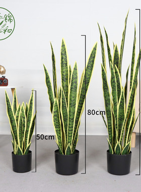仿真虎皮兰塑料假树植物落地盆栽树 客厅室内花装饰假绿植盆景
