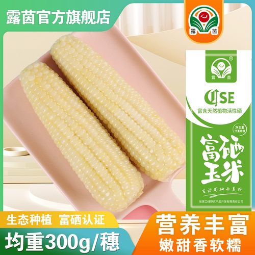 2025新品种 【露茵】 富硒甜嫩糯300  软嫩甜糯 大个头每根300g以