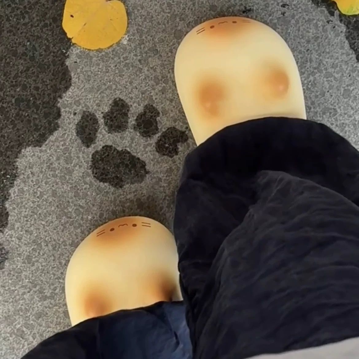 猫爪拖鞋猫咪小猫爪子印棉拖鞋女冬居家外穿防水防滑可爱卡通保暖