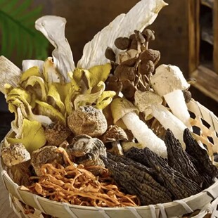 5大包 云南汤包菌汤包羊肚菌虫草花食用菌滋补煲汤