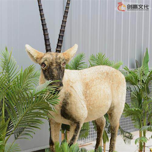 仿真动物真实触感植毛羚羊会动会叫模拟呼吸咀嚼动物景观展品