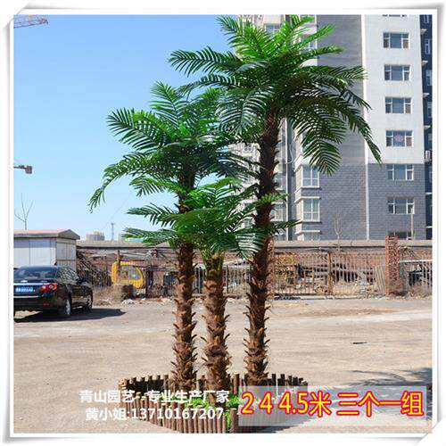 玻璃钢仿真大树老人葵高仿华盛顿棕榈树造景树室外仿真大树定制