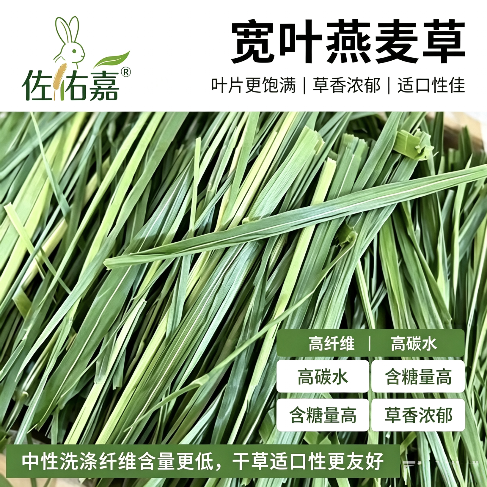 头茬烘干精品高纤维燕麦草荷兰猪粮食宠物草