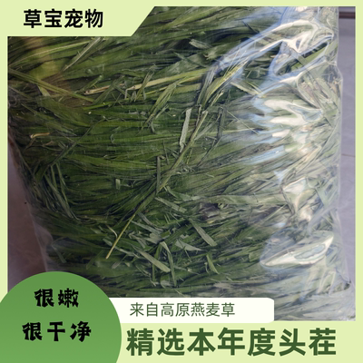 高品质头茬烘干精品高纤维黑燕麦草荷兰猪粮食宠物草