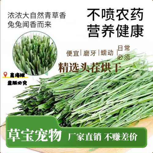 兔草宠物草磨牙烘干草段兔粮