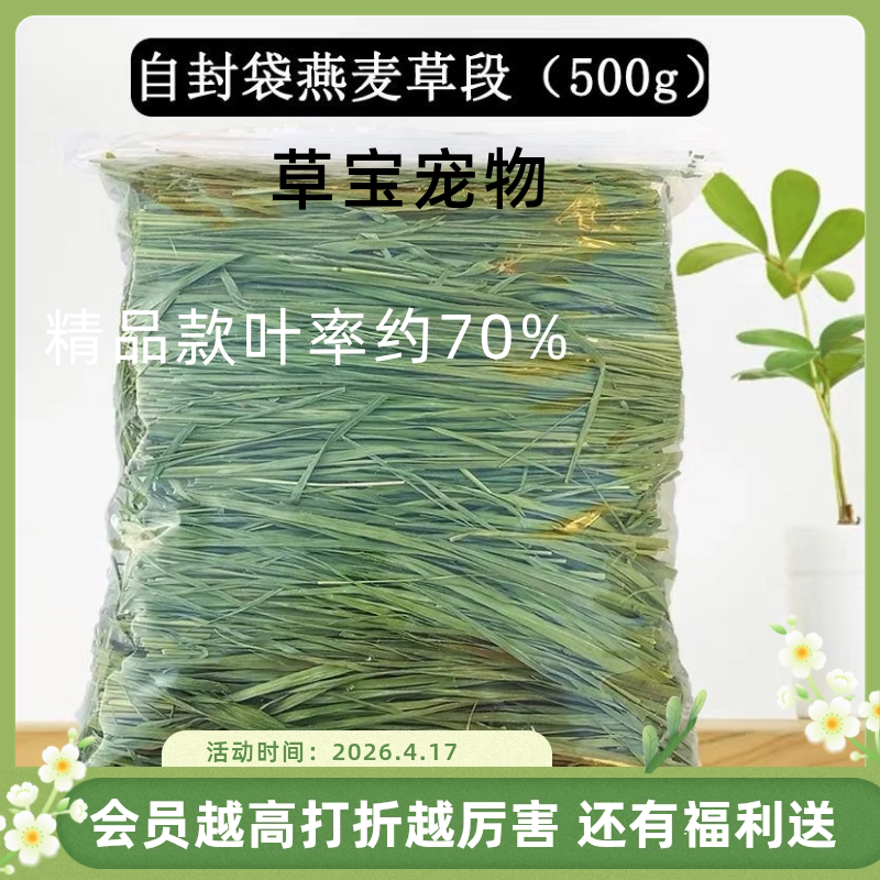 2026头茬烘干晒干精品高纤维燕麦草荷兰猪粮食小宠物草批发商用